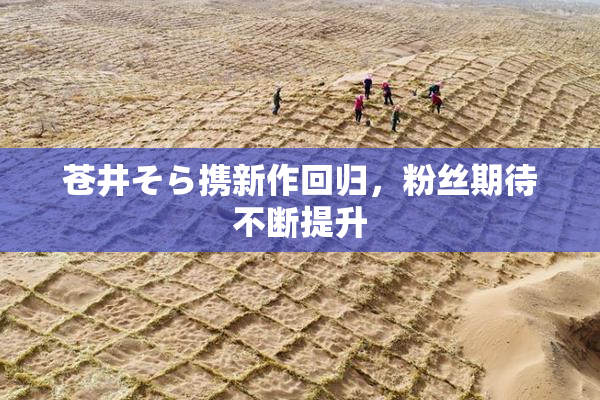 苍井そら携新作回归，粉丝期待不断提升