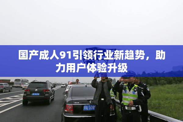 国产成人91引领行业新趋势，助力用户体验升级