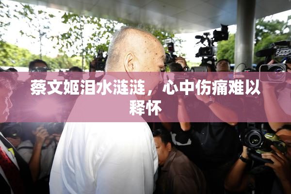 蔡文姬泪水涟涟，心中伤痛难以释怀