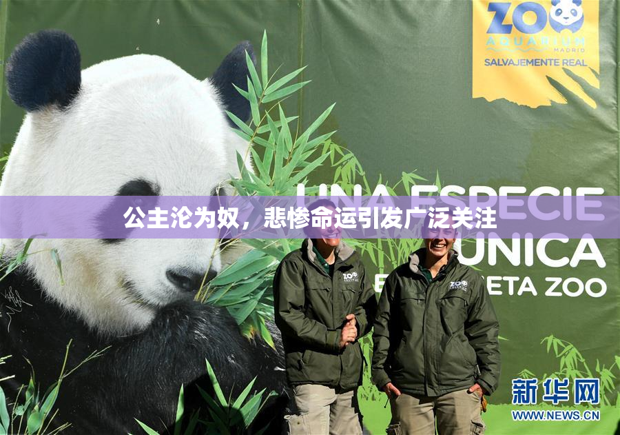 公主沦为奴，悲惨命运引发广泛关注