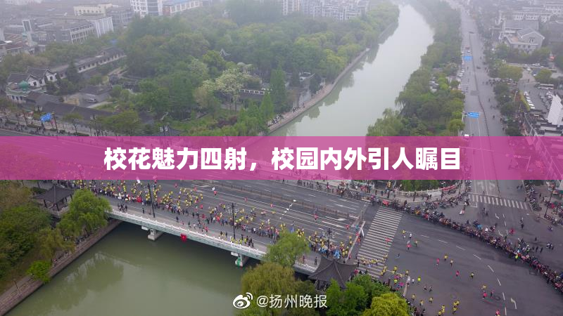 校花魅力四射，校园内外引人瞩目