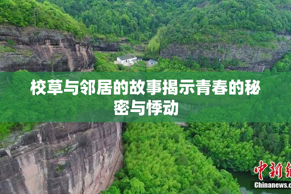 校草与邻居的故事揭示青春的秘密与悸动