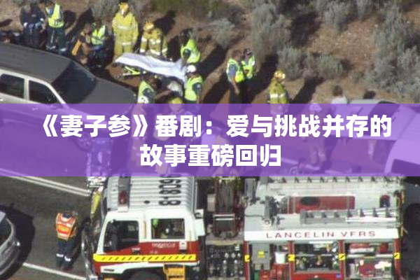 《妻子参》番剧：爱与挑战并存的故事重磅回归