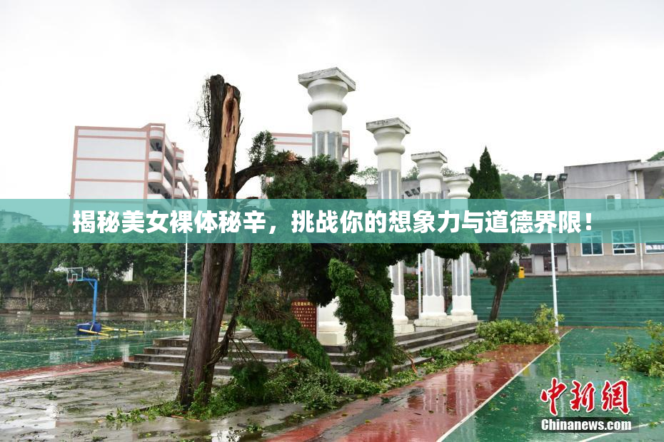 揭秘美女裸体秘辛，挑战你的想象力与道德界限！