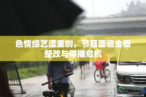 色情综艺遭重创，节目面临全面整改与停播危机