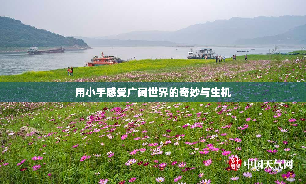 用小手感受广阔世界的奇妙与生机
