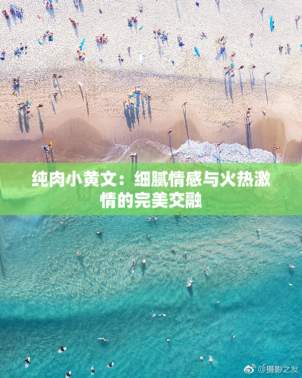 纯肉小黄文：细腻情感与火热激情的完美交融