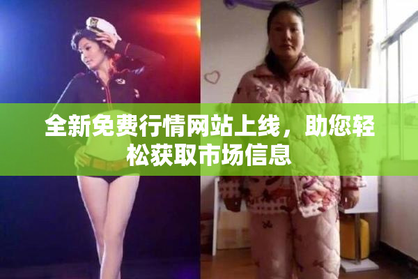 全新免费行情网站上线，助您轻松获取市场信息