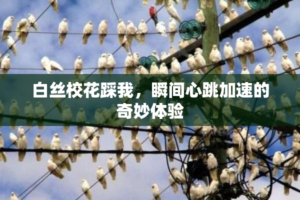 白丝校花踩我，瞬间心跳加速的奇妙体验