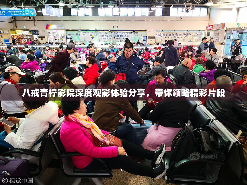 八戒青柠影院深度观影体验分享，带你领略精彩片段