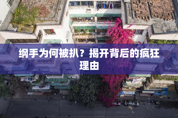 纲手为何被扒？揭开背后的疯狂理由