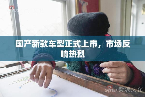 国产新款车型正式上市，市场反响热烈