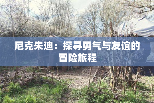 尼克朱迪：探寻勇气与友谊的冒险旅程
