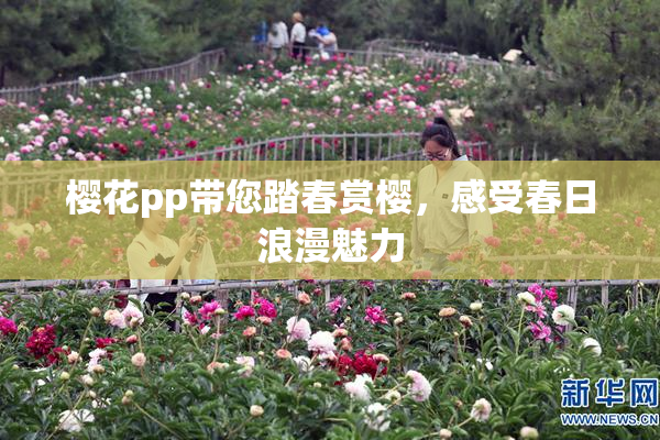 樱花pp带您踏春赏樱，感受春日浪漫魅力