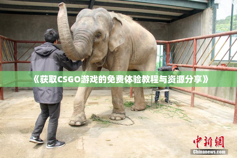 《获取CSGO游戏的免费体验教程与资源分享》
