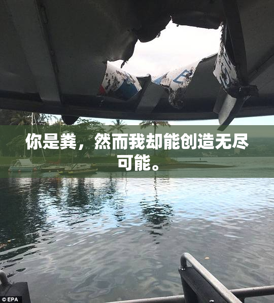 你是粪，然而我却能创造无尽可能。