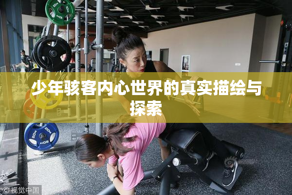 少年骇客内心世界的真实描绘与探索