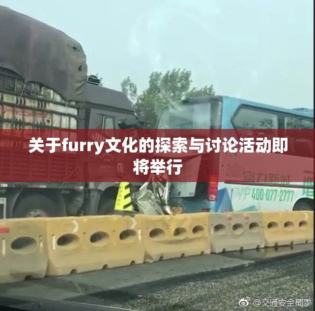 关于furry文化的探索与讨论活动即将举行