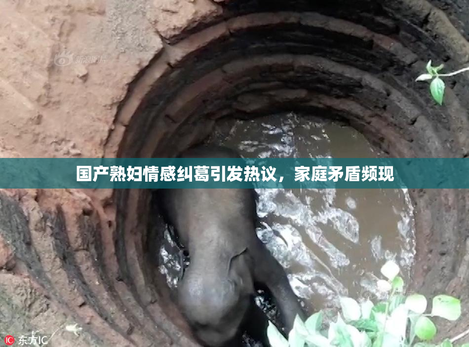 国产熟妇情感纠葛引发热议，家庭矛盾频现