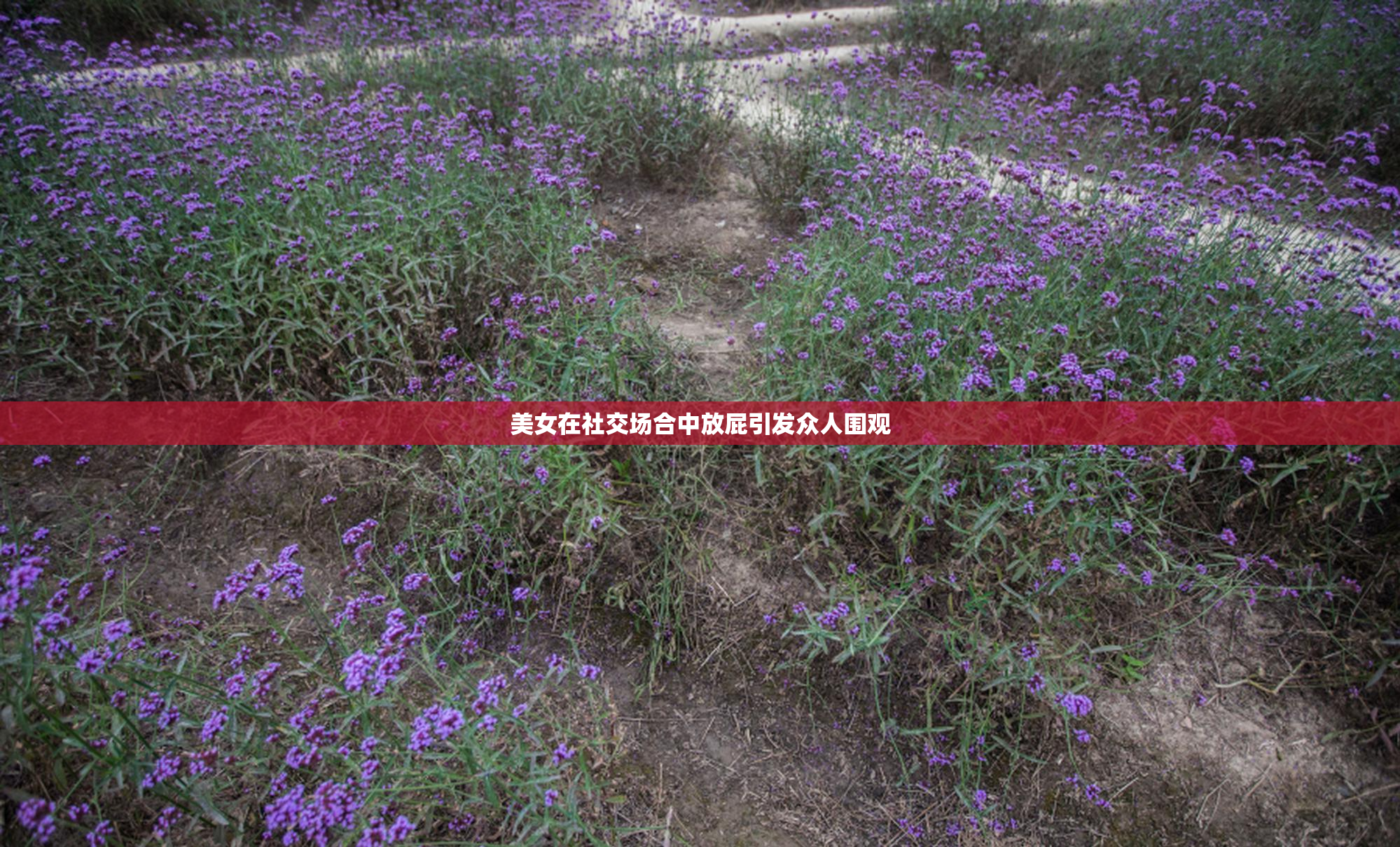 美女在社交场合中放屁引发众人围观
