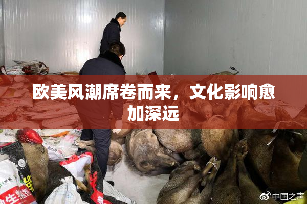 欧美风潮席卷而来，文化影响愈加深远