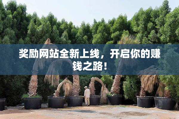 奖励网站全新上线，开启你的赚钱之路！