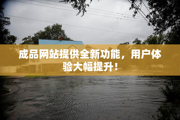 成品网站提供全新功能，用户体验大幅提升！