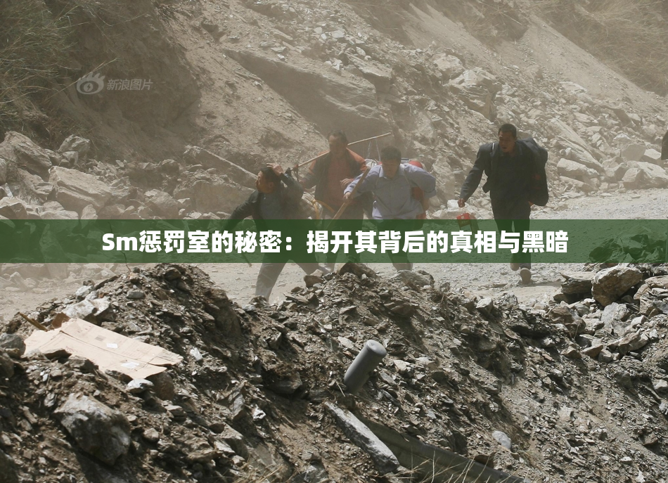 Sm惩罚室的秘密：揭开其背后的真相与黑暗