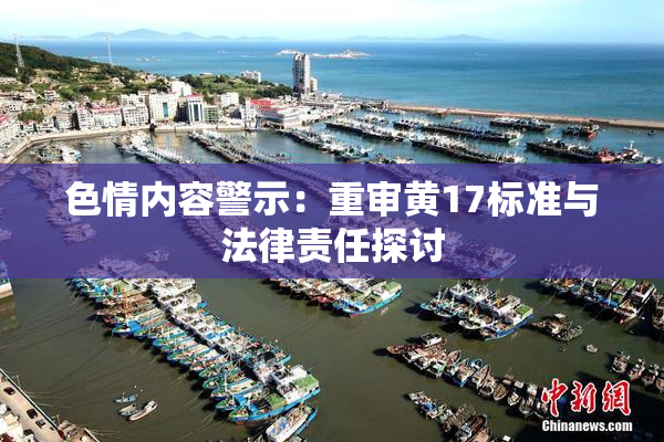 色情内容警示：重审黄17标准与法律责任探讨