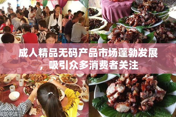 成人精品无码产品市场蓬勃发展，吸引众多消费者关注