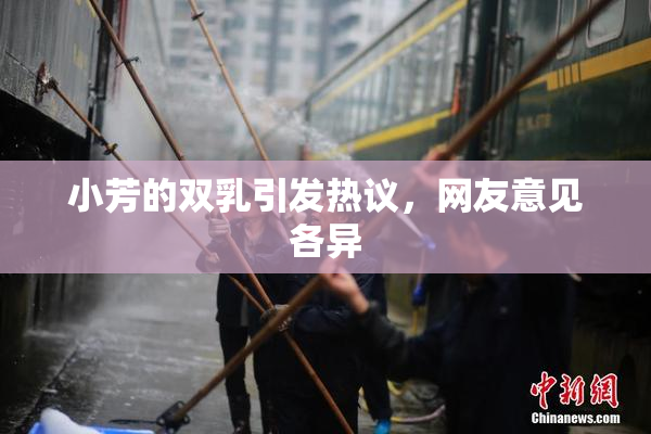 小芳的双乳引发热议，网友意见各异