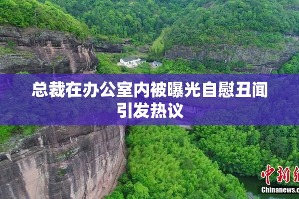 总裁在办公室内被曝光自慰丑闻引发热议