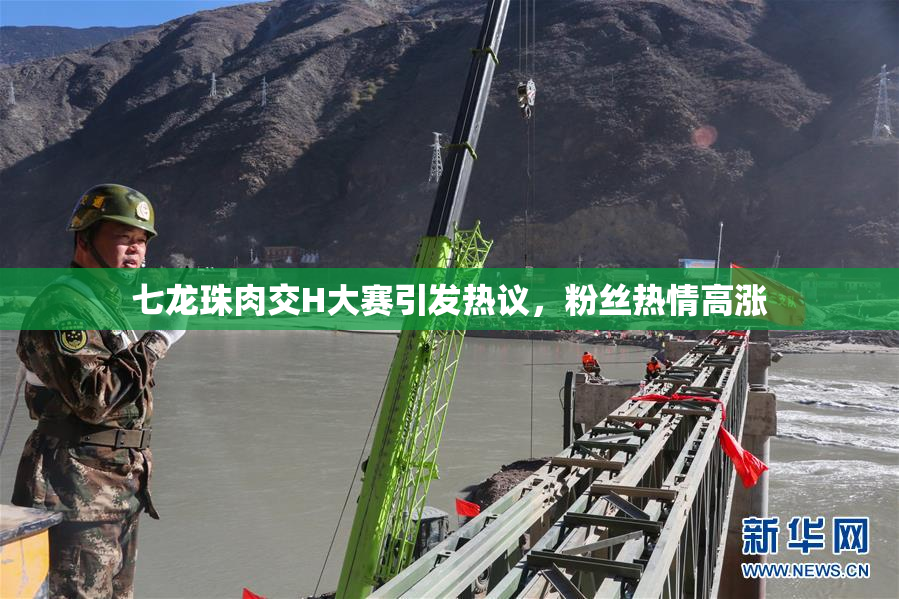 七龙珠肉交H大赛引发热议，粉丝热情高涨