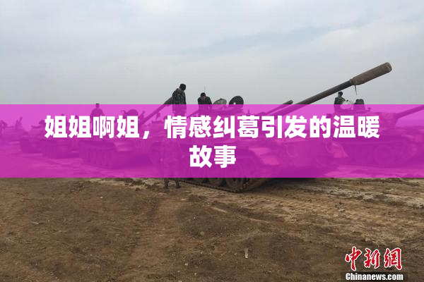 姐姐啊姐，情感纠葛引发的温暖故事
