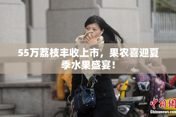 55万荔枝丰收上市，果农喜迎夏季水果盛宴！