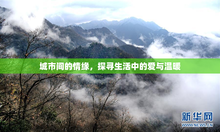 城市间的情缘，探寻生活中的爱与温暖