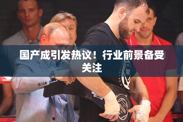 国产成引发热议！行业前景备受关注