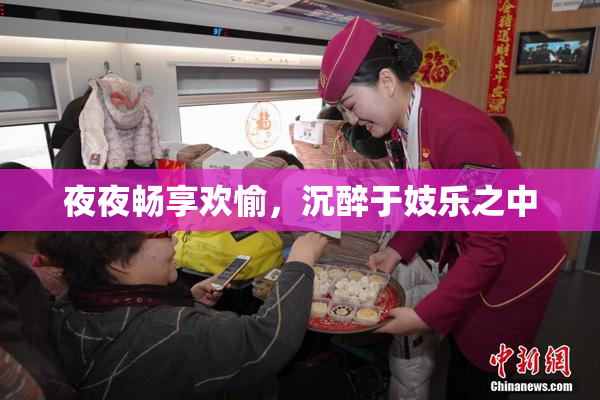 夜夜畅享欢愉，沉醉于妓乐之中