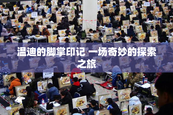 温迪的脚掌印记 一场奇妙的探索之旅