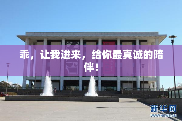 乖，让我进来，给你最真诚的陪伴！