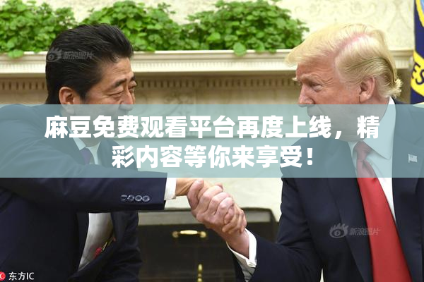 麻豆免费观看平台再度上线，精彩内容等你来享受！