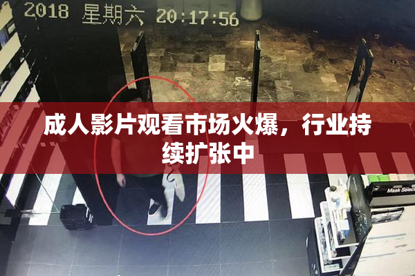 成人影片观看市场火爆，行业持续扩张中