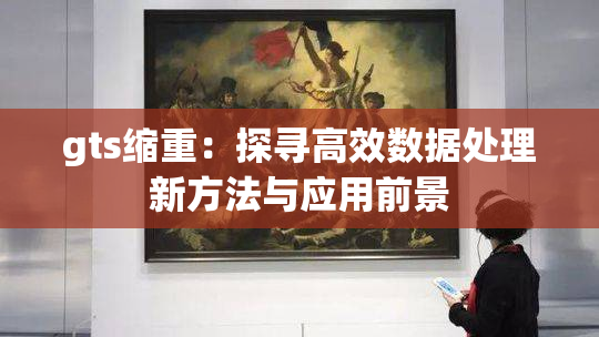 gts缩重：探寻高效数据处理新方法与应用前景
