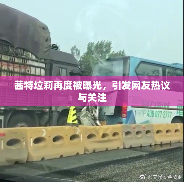 茜特垃莉再度被曝光，引发网友热议与关注