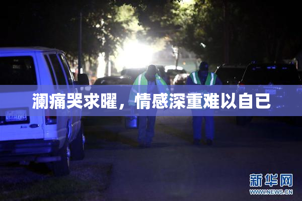 澜痛哭求曜，情感深重难以自已