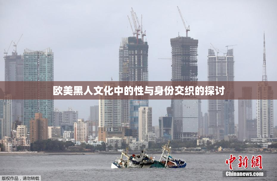 欧美黑人文化中的性与身份交织的探讨