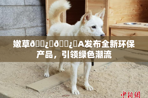嫩草🌿‌🌿‌A发布全新环保产品，引领绿色潮流