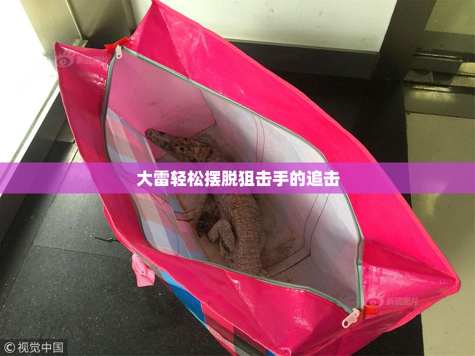 大雷轻松摆脱狙击手的追击
