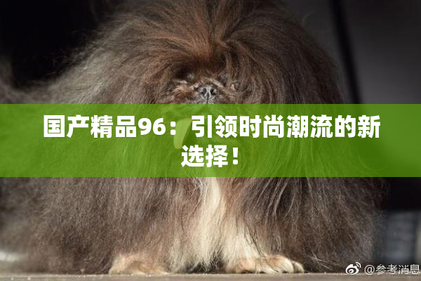 国产精品96：引领时尚潮流的新选择！