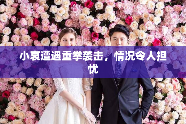 小哀遭遇重拳袭击，情况令人担忧